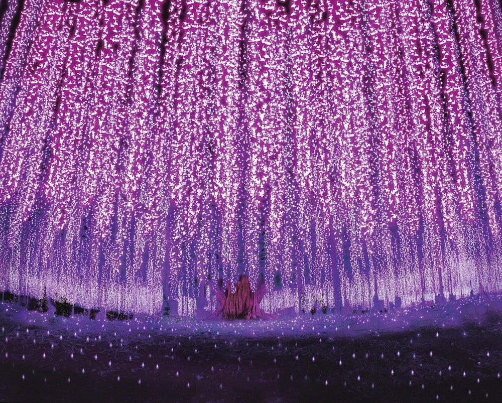 あしかがフラワーパーク 光の花の庭 Flower Fantasy（提供画像）