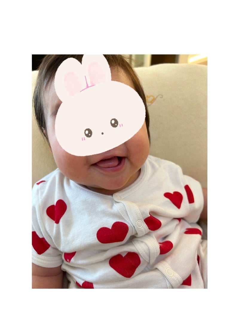 安めぐみオフィシャルブログより