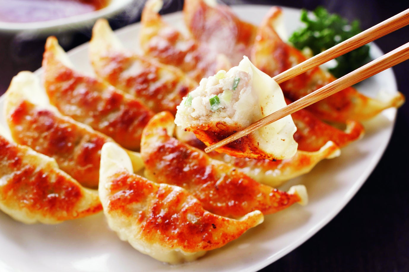 ギョーザEXPOはラーメンとの相性ピッタリ （提供写真）