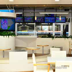 「まるかふぇ」のすぐ正面がレース観戦エリアなので休憩にぴったり(C)モデルプレス