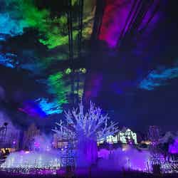 Tree in the sky/提供画像