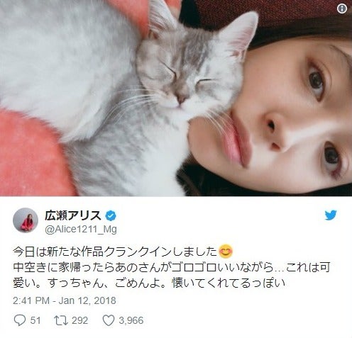 広瀬アリス＆すず姉妹、愛猫巡ってのやり取りが話題「すっちゃん、ごめんよ」