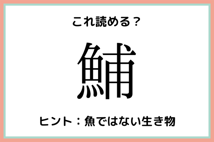 鯆って何 読めたらスゴイ 一文字の難読漢字 4選 モデルプレス
