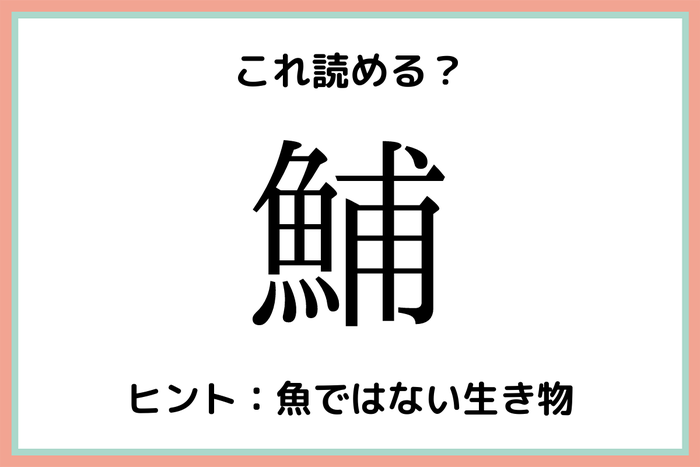 鯆って何 読めたらスゴイ 一文字の難読漢字 4選 モデルプレス 鯆って何 読めたらスゴイ 一文字の難読漢字 4選 モデルプレス