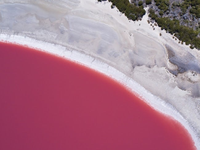 ヒリアー湖／画像提供：西オーストラリア州政府観光局