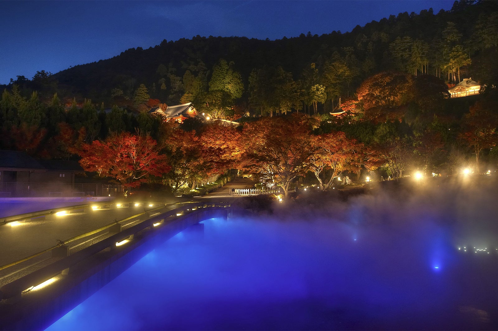 日没後ライトアップされた大阪「勝尾寺」／画像提供：西国三十三所札所会