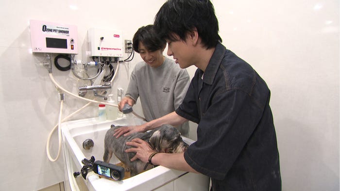 相葉雅紀、横山裕「嗚呼!!みんなの動物園」(C)日本テレビ