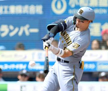阪神・佐藤輝 13試合連続安打！自己最長にあと1 月間打率・363でMVP有力 5月無安打は4試合のみ