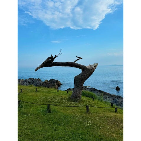 岩手出身・小松彩夏、東日本大震災から15年で当時を回顧「震える手で岩手にいる母へ電話」