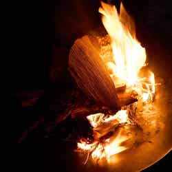 LOTUS NIGHT/画像提供:ブッキングリゾート