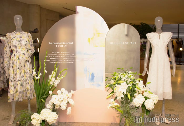 (C)モデルプレス