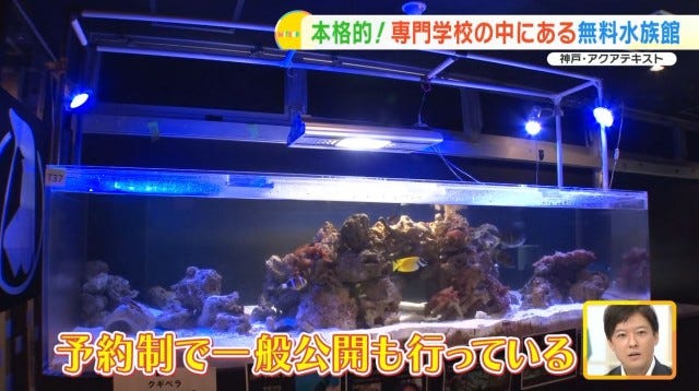 【兵庫】大人も子どもも無料で楽しめる！学校内にある「穴場の水族館」