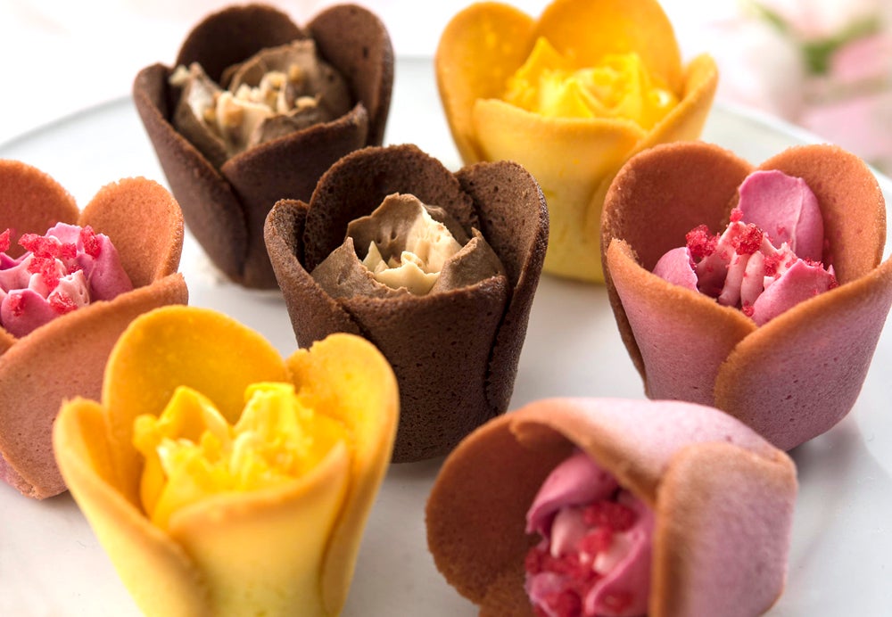 チューリップローズ／画像提供：株式会社グレープストーン