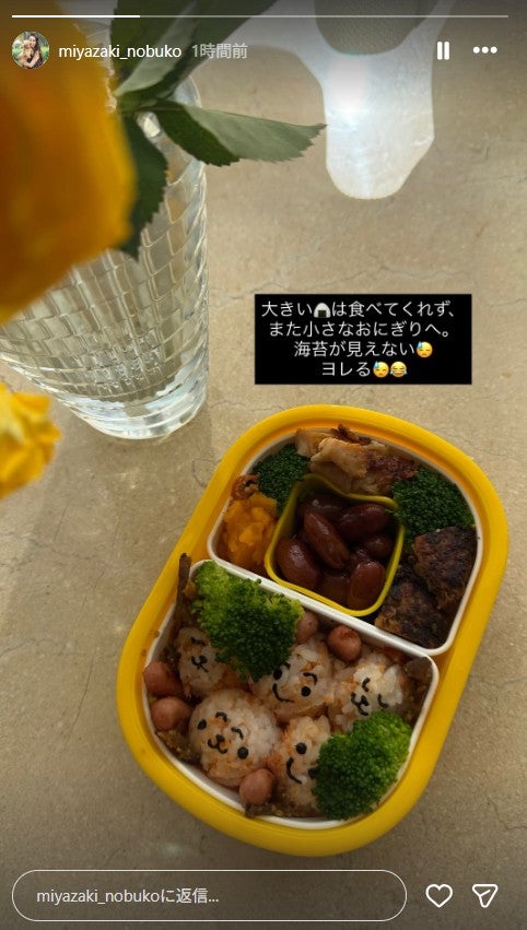 宮崎宣子Instagramストーリーズより