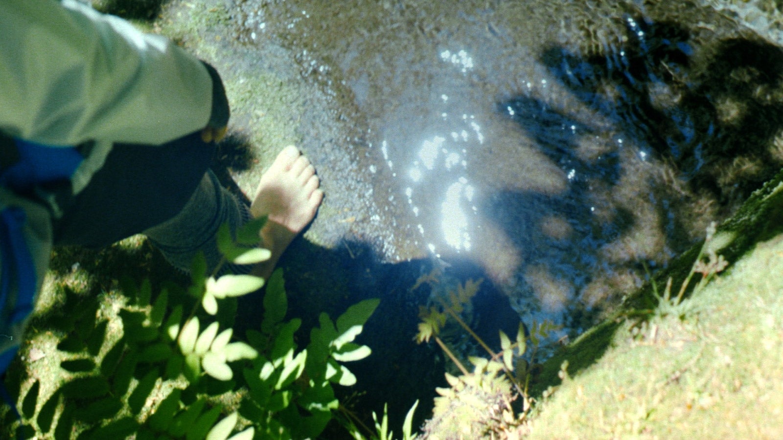 宇多田ヒカル出演「水の山行ってきた 奥大山」篇より（提供写真） 宇多田ヒカル出演「水の山行ってきた 奥大山」篇より（提供写真）