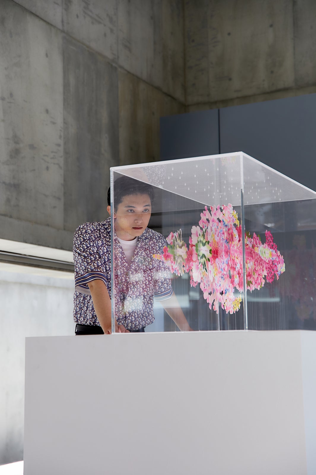 吉沢亮（提供写真）