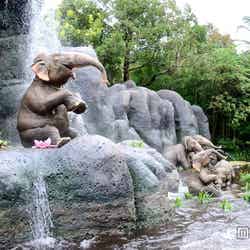 象たちが楽しく水浴び／「ジャングルクルーズ：ワイルドライフ・エクスペディション」
