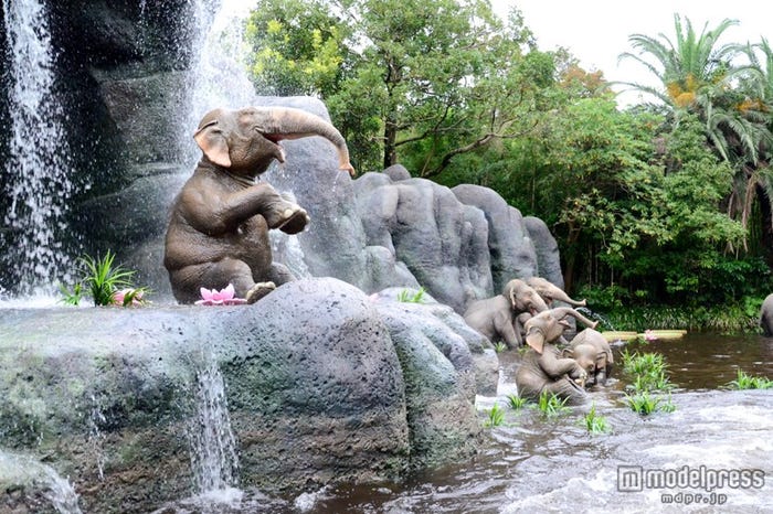 象たちが楽しく水浴び/「ジャングルクルーズ:ワイルドライフ・エクスペディション」