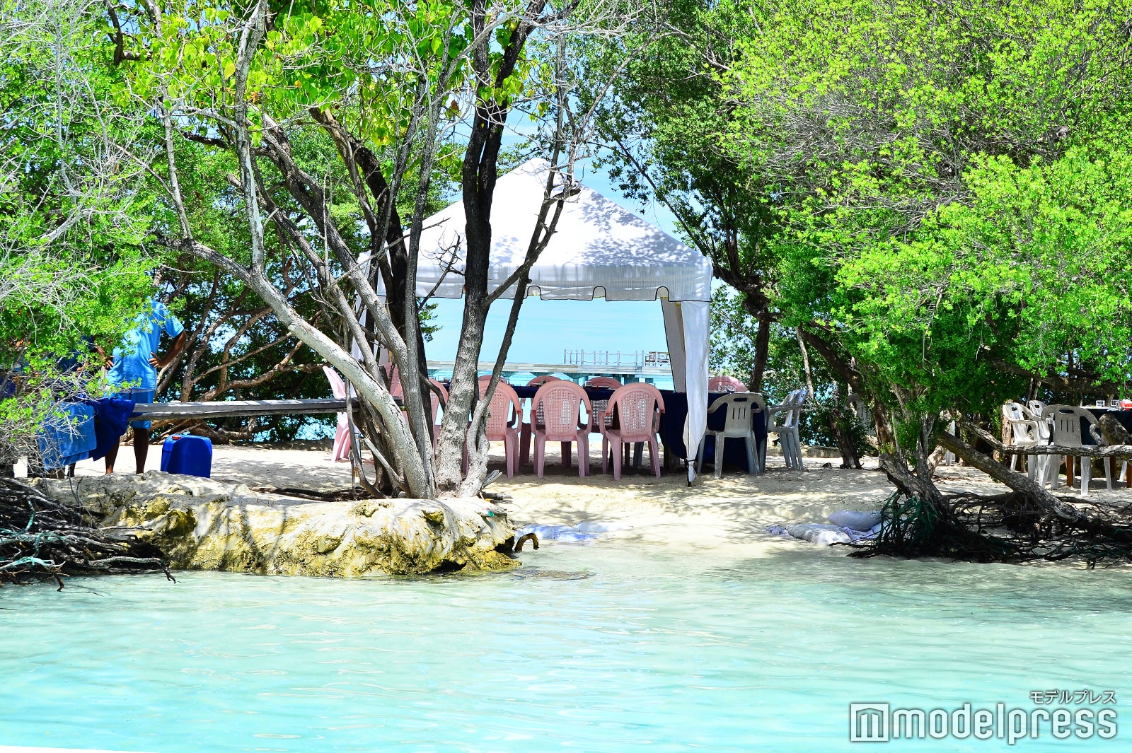 ロブスターピクニック（C）モデルプレス