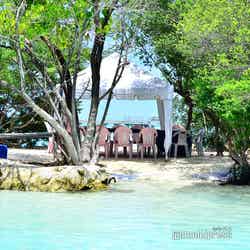 ロブスターピクニック(C)モデルプレス