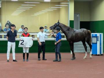 キトゥンズクラフトが初陣V 姉は25年桜花賞3着馬リンクスティップ