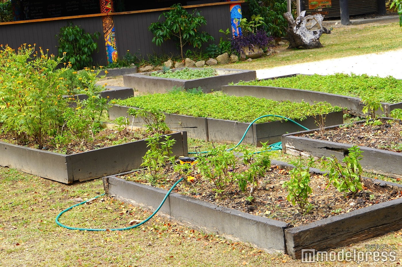 シックスセンシズ フィジー（C）モデルプレス