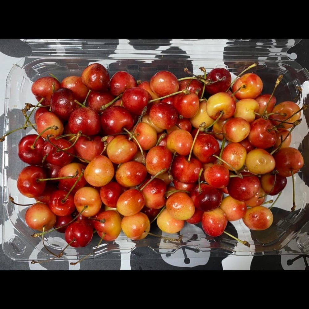 レイニアチェリー