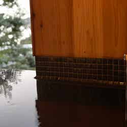 足るを知る木洩れ日る/画像提供:studioKANRO