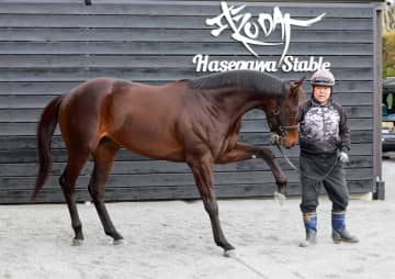 【根岸S】マテンロウコマンド ダートも4歳世代大暴れだ 唯一のデータ全項目クリアにV期待高まる