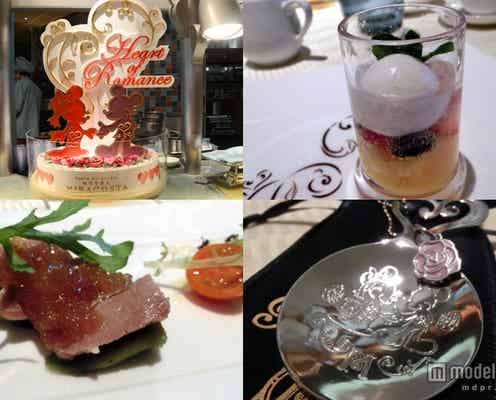 ディズニーシー、パークに入らず優雅にショーを楽しむ方法