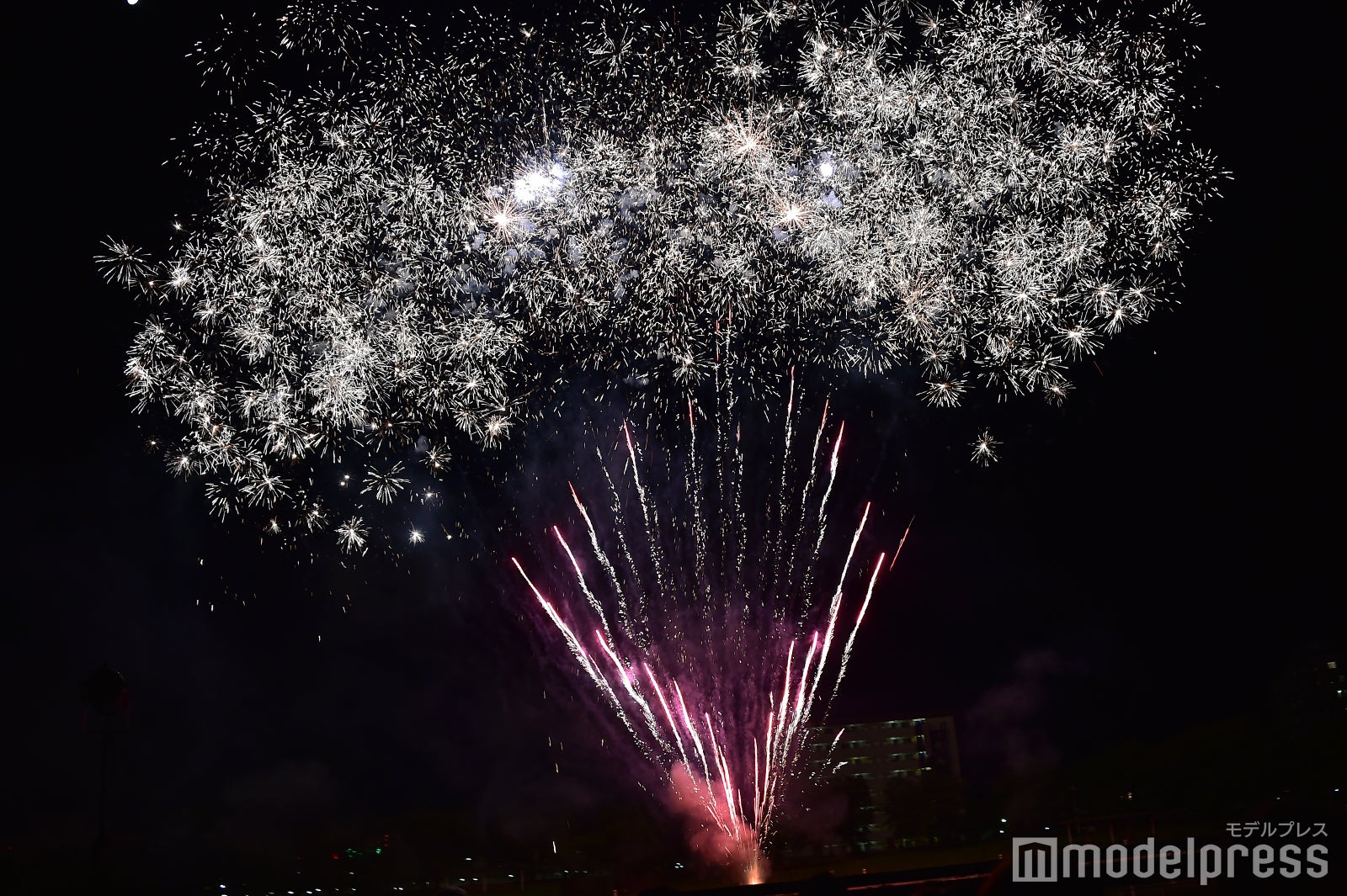 （C）モデルプレス