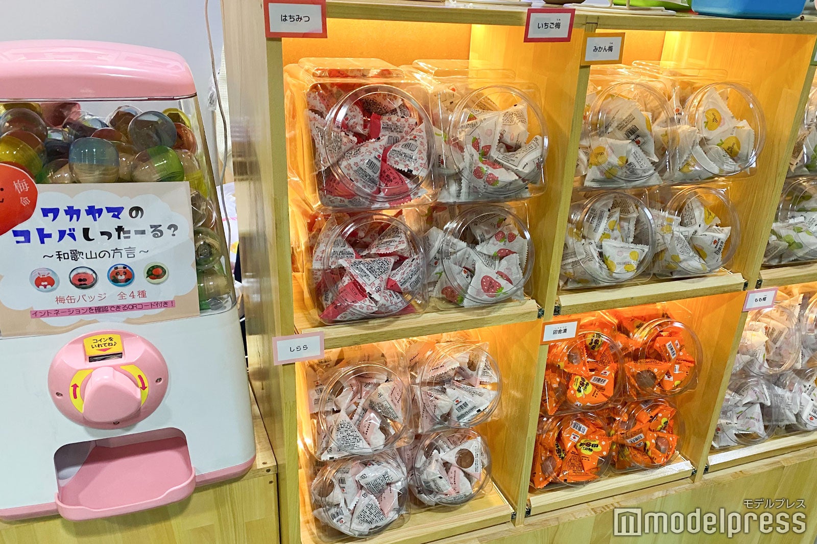 「TGC 和歌山 2023」ケータリング会場の様子 （C）モデルプレス