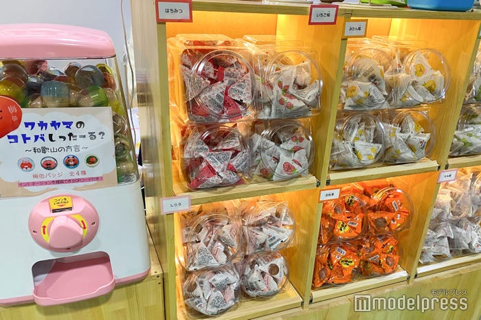 「TGC 和歌山 2023」ケータリング会場の様子 (C)モデルプレス