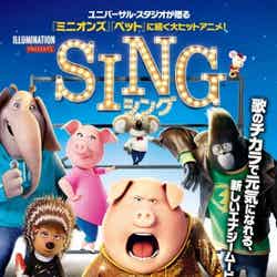 SING/シング（C）2016 Universal Studios. All Rights Reserved.