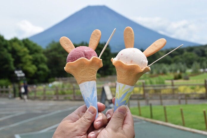 山梨県産のブドウ(左)とモモ(右)のジェラート各700円