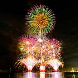 泉州夢花火※写真は2018年開催時/提供画像