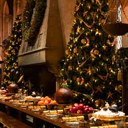 ホグワーツ・イン・ザ・スノー(提供写真)