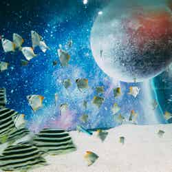 UNDER WATER SPACE/画像提供:UWS ENTERTAINMENT