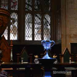 炎のゴブレット/ワーナー ブラザース スタジオツアー東京 – メイキング・オブ・ハリー・ポッター(C)モデルプレス