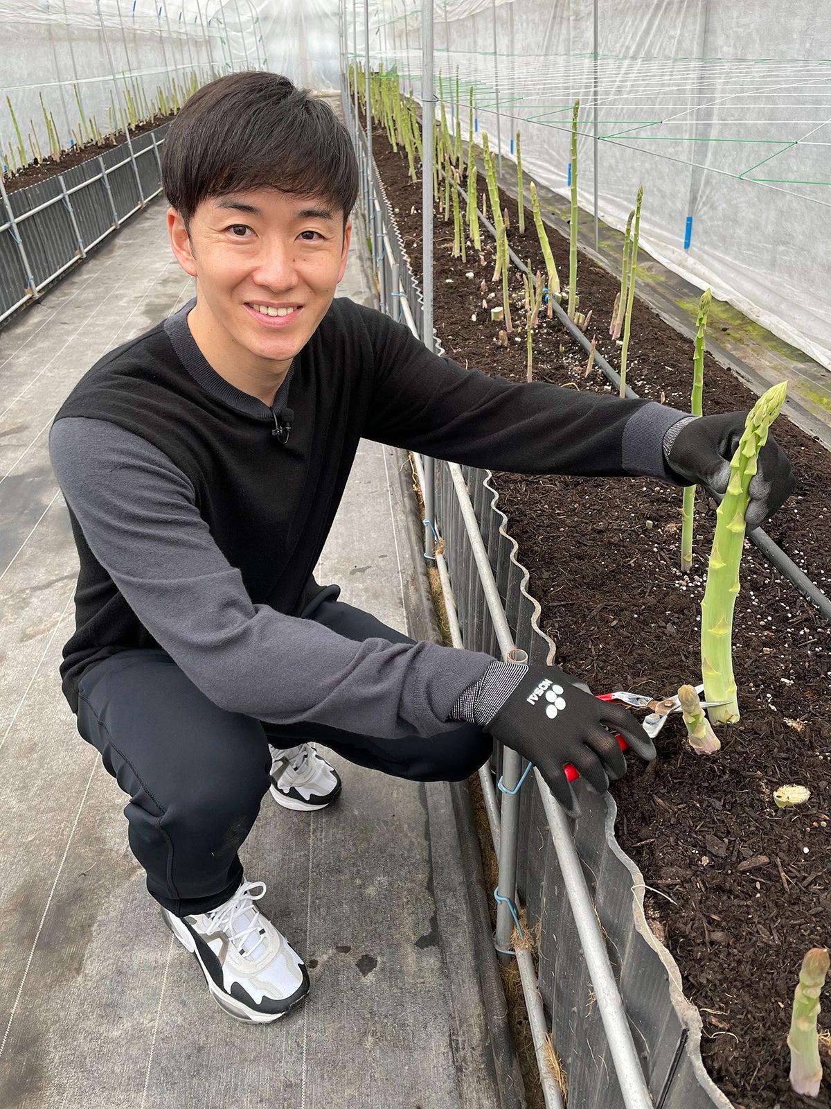 斎藤佑樹（C）日本テレビ