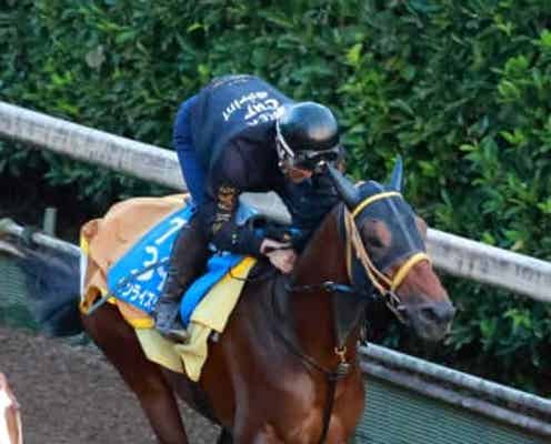 【地方競馬】JBCクラシック ジパング脚取り軽快 Jpn1初制覇へ機は熟した 千八への舞台変わり歓迎