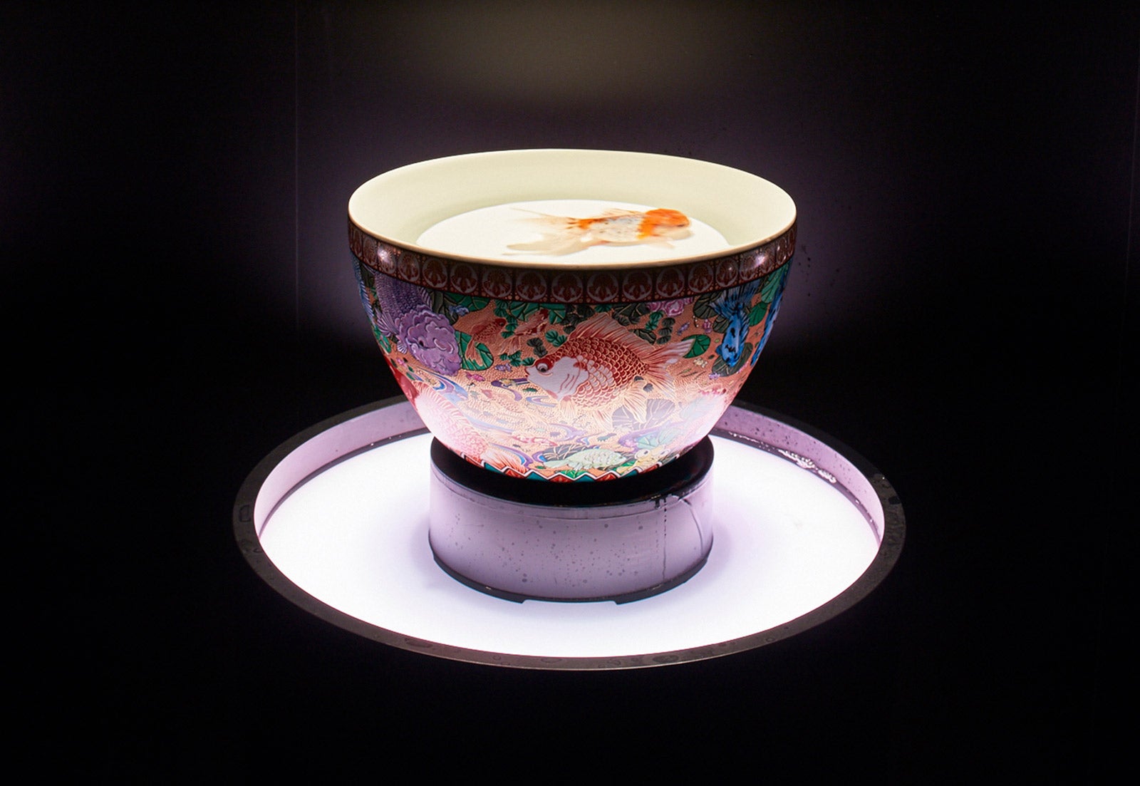 九谷金魚品評／画像提供：アートアクアリウム博多実行委員会