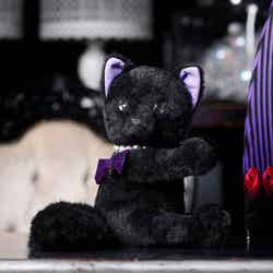黒猫のぬいぐるみ(イメージ)/提供画像