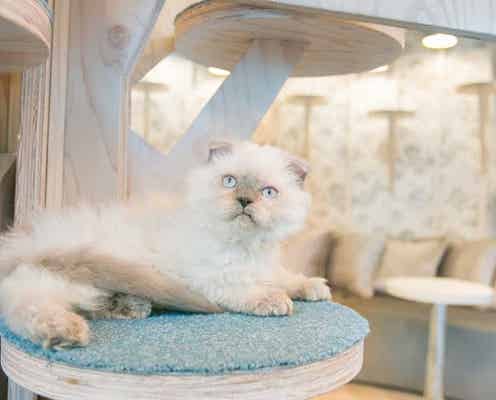 週末何する?次の休みに行くお出かけスポット7選vol.58