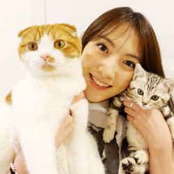 【美女とペット】知英と愛猫「レオン」（左）と「ニニ」（右）／画像提供：所属事務所