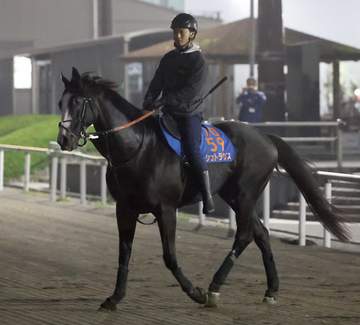 仏G1ジャックルマロワ賞にモレイラと参戦するシュトラウスが国内最終追い 7日出国予定