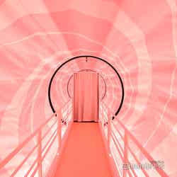 ちいかわパーク(C)モデルプレス