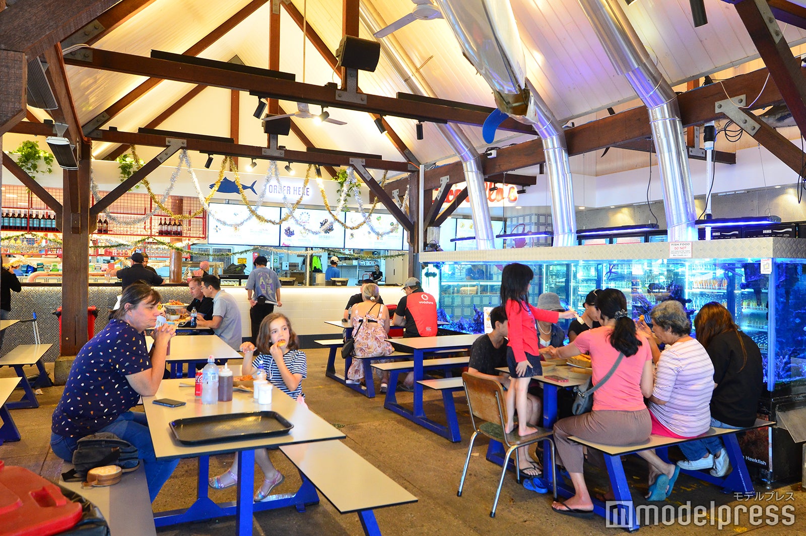 シセレロス（C）モデルプレス