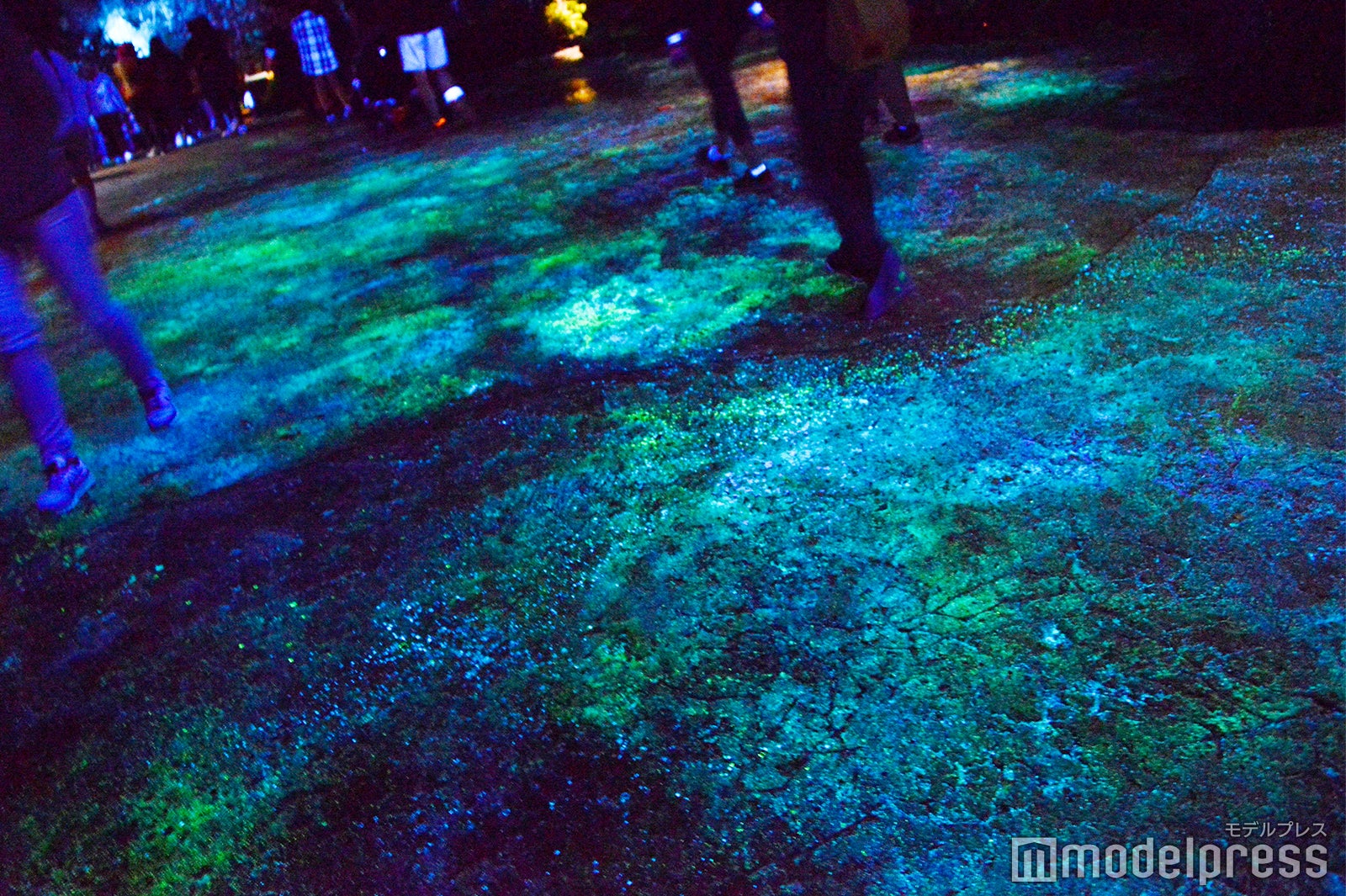 地面も幻想的に光り輝く／「パンドラ：ザ・ワールド・オブ・アバター」（C）モデルプレス（C）Fox（C）Disney