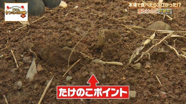 「絶対にうまい」京都府民を虜にする“京都限定の野菜”
